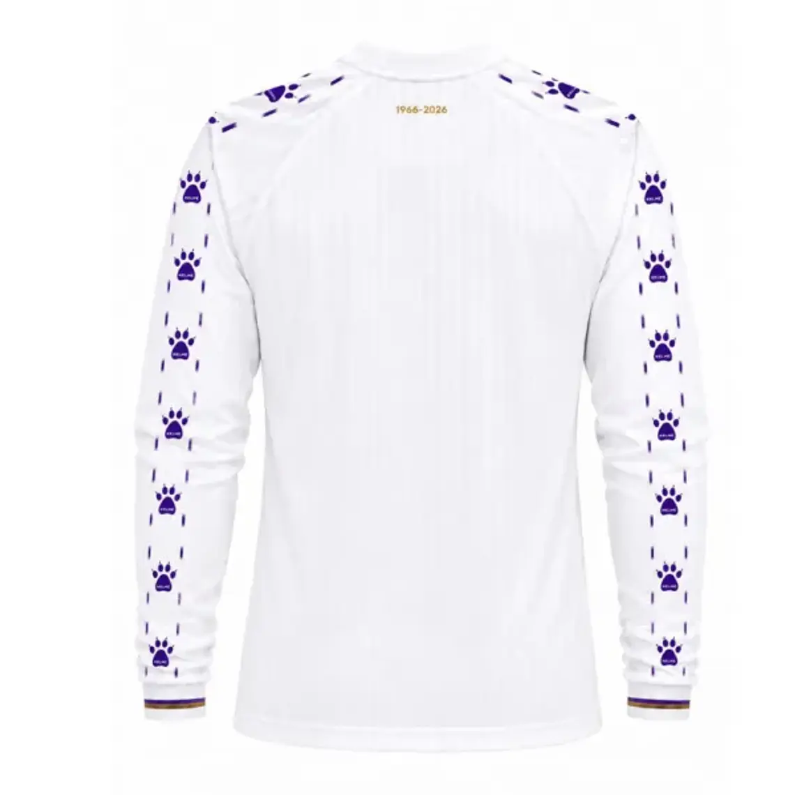 Camiseta Manga Larga Visita Deportes Concepción 2026 2