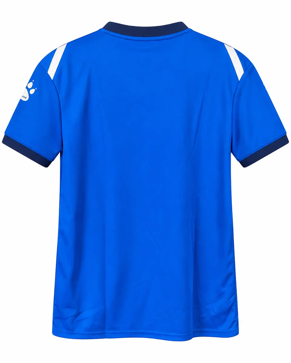 POLERA DE ENTRENAMIENTO ALICANTE AZUL KELME  2