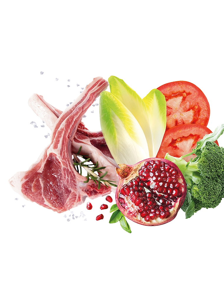 Exclusion Noble Cordeiro Adulto Raça Média 12Kg 2