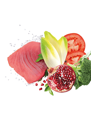 Exclusion Noble Grain Atum Cachorro Médio 12Kg