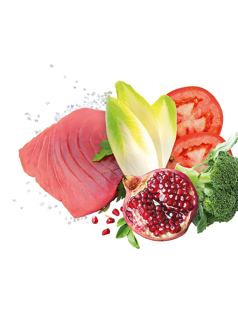 Exclusion Noble Grain Atum Cachorro Médio 12Kg 2