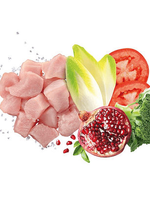 Exclusion Noble Grain Frango Cachorro de Raça Grande 12Kg