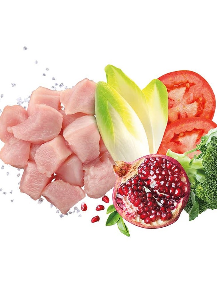 Exclusion Noble Grain Pollo Perro Raza Grande 12Kg 2