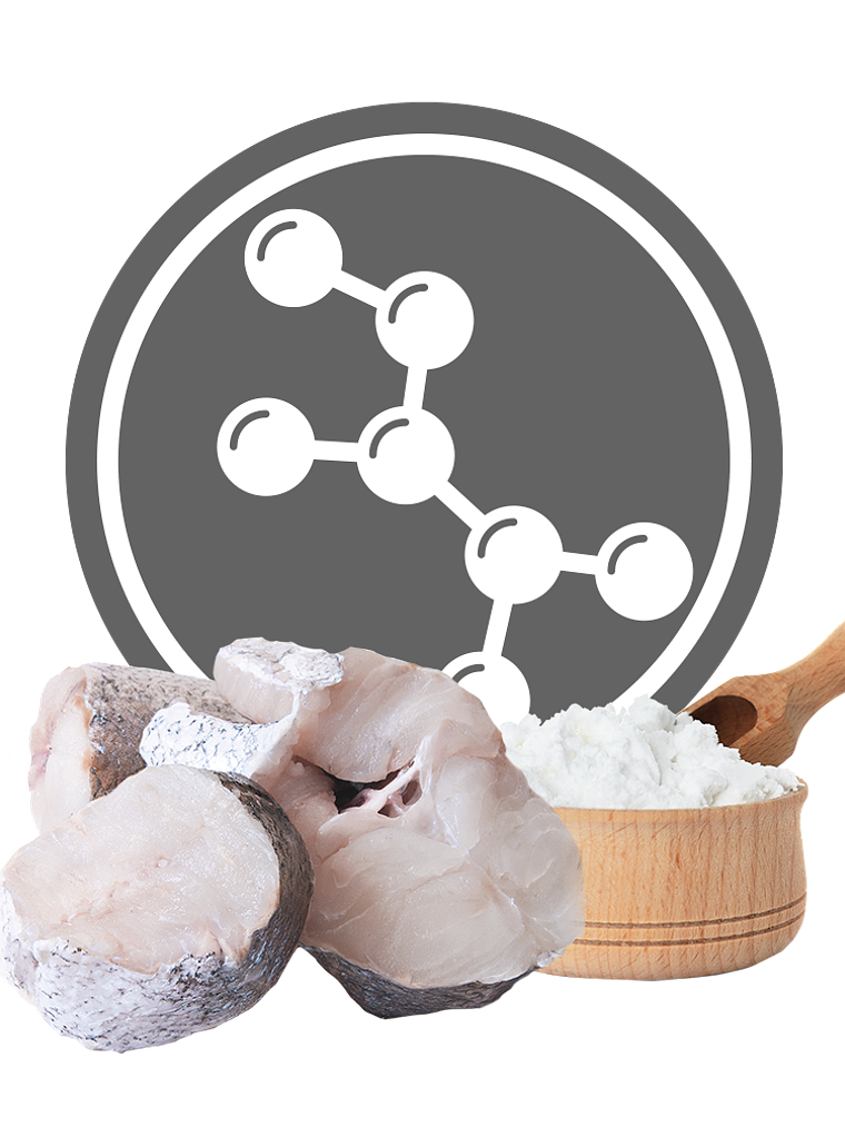 Exclusion Diet Hipoalergénica Hydrolyzed Fish & Corn Starch 12Kg 2