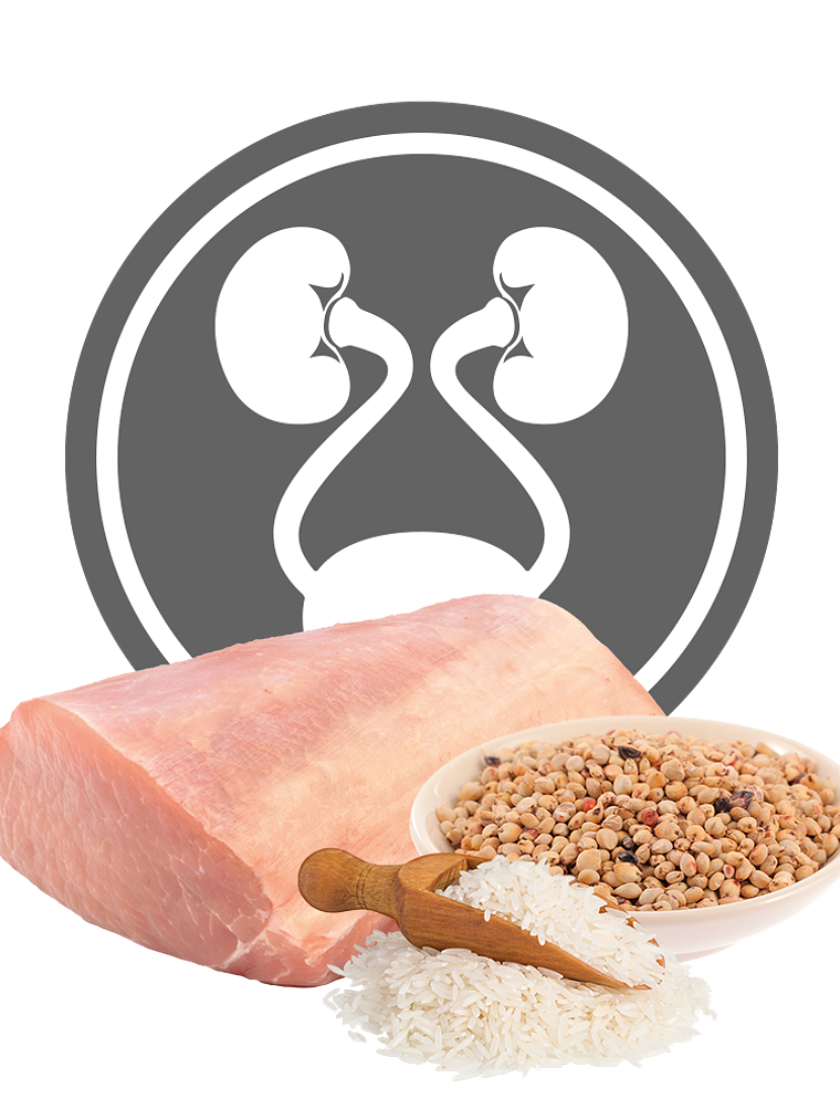 Exclusion Diet Urinary para Cão 400gr 2