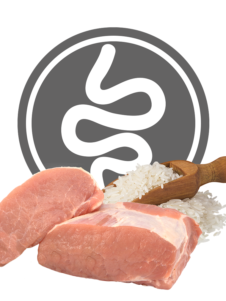 Exclusion Diet Dog Intestinal Lata 400gr 2