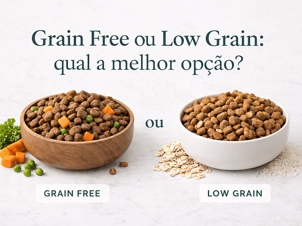 Grain Free ou Low Grain: qual escolher?