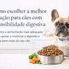 Como escolher a melhor ração para cães com sensibilidade digestiva