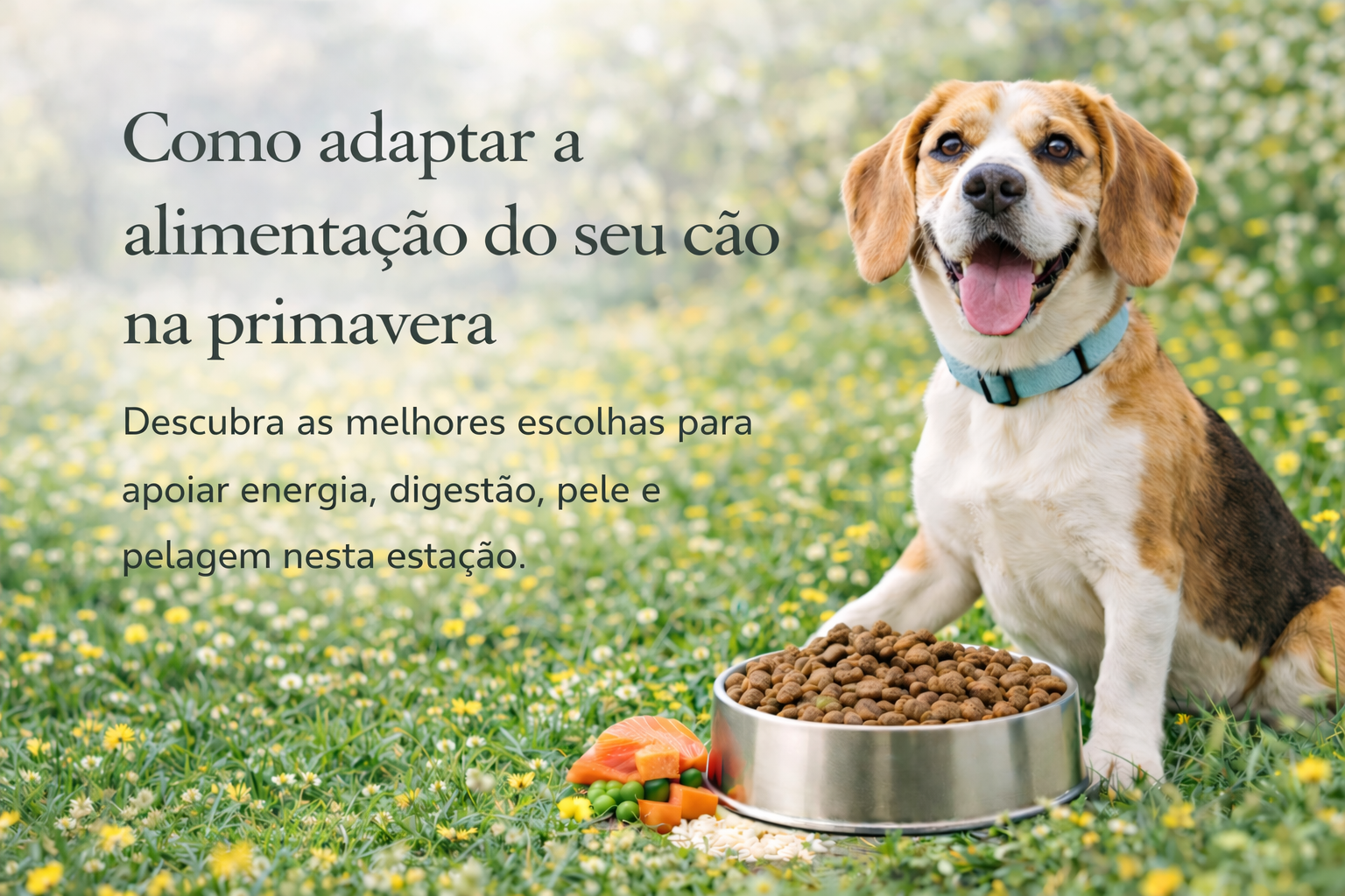 Conhecimento Especializado em Nutrição Animal