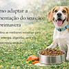 Conhecimento Especializado em Nutrição Animal