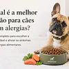 Qual é a melhor ração para cães com alergias?