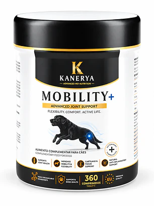Kanerya Mobility+ 360 comp