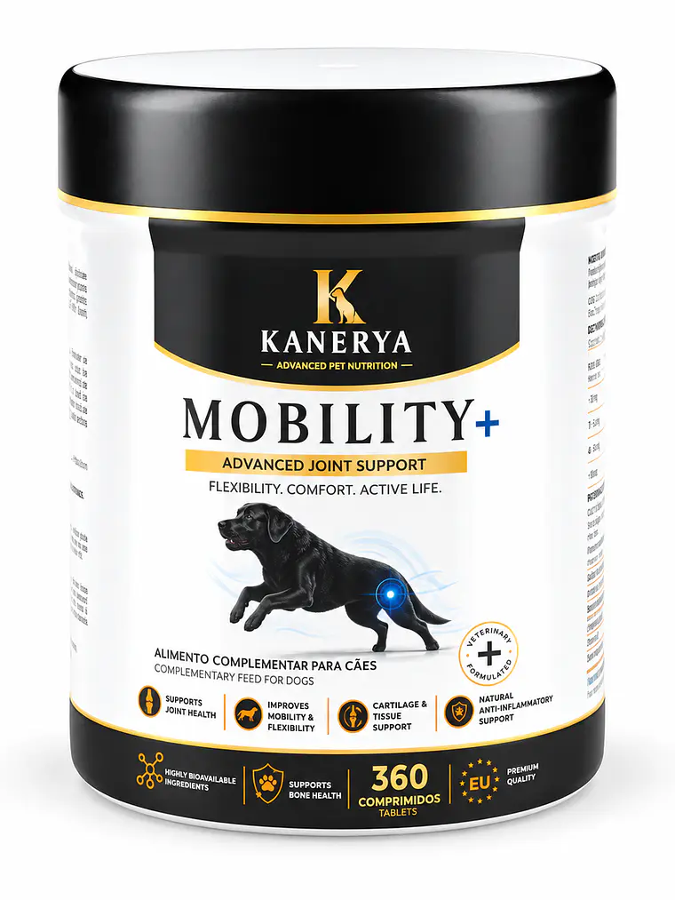 Kanerya Mobility+ 360 comp 1