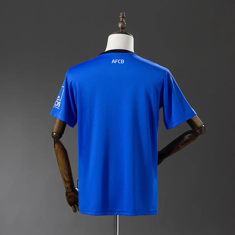 2025-26 Bournemouth Away Jersey 2