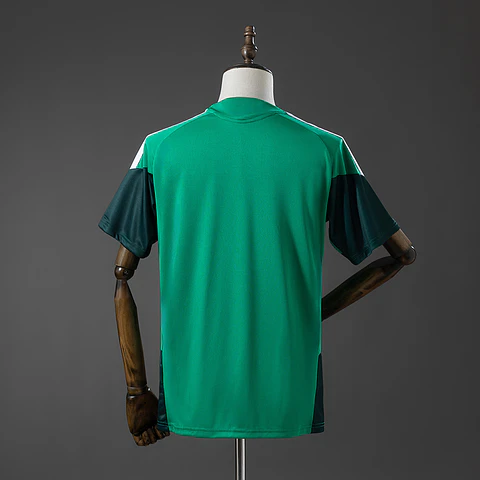 2026 Algeria Training Jersey