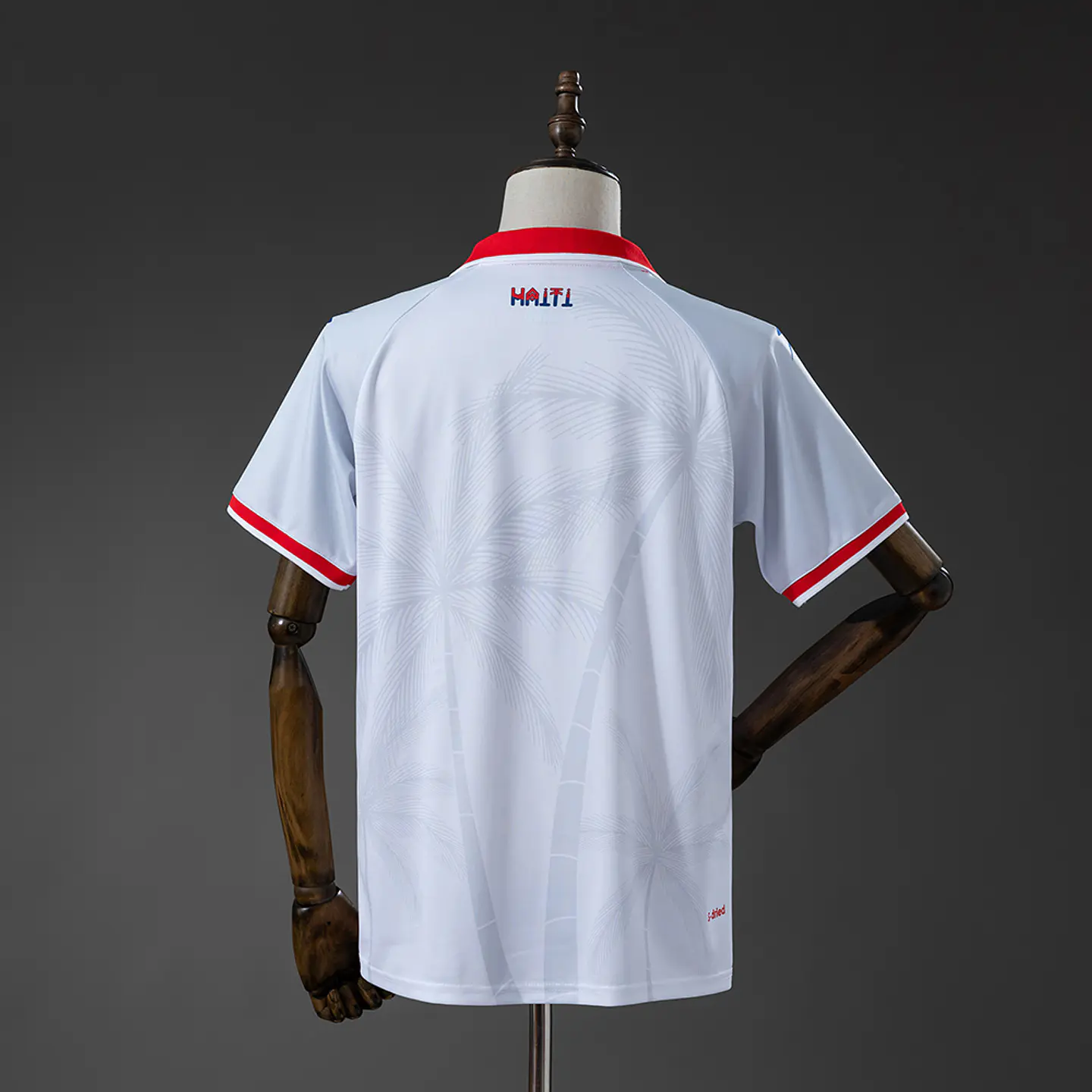 2026 Haiti Away Jersey 2