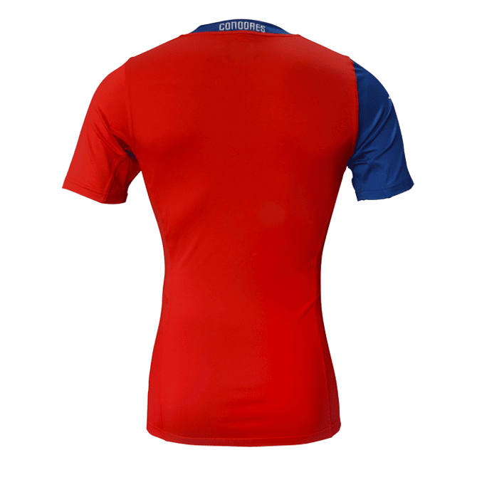 Camiseta Mitre Local Selección Rugby Chile 2014-2016 Cóndores (Niño) - Image 2
