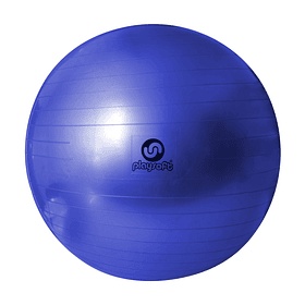 Pelota Pilates Lisa (65cm/1000 gramos)