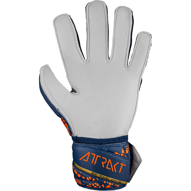 Guante Arquero Reusch Attrakt Solid Junior GK24 Azul 3