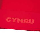 Camiseta Selección Rugby Gales 2025-2026 Local 2