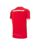 Camiseta Selección Rugby Gales 2025-2026 Local 3