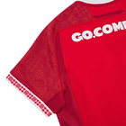 Camiseta Selección Rugby Gales 2025-2026 Local 4