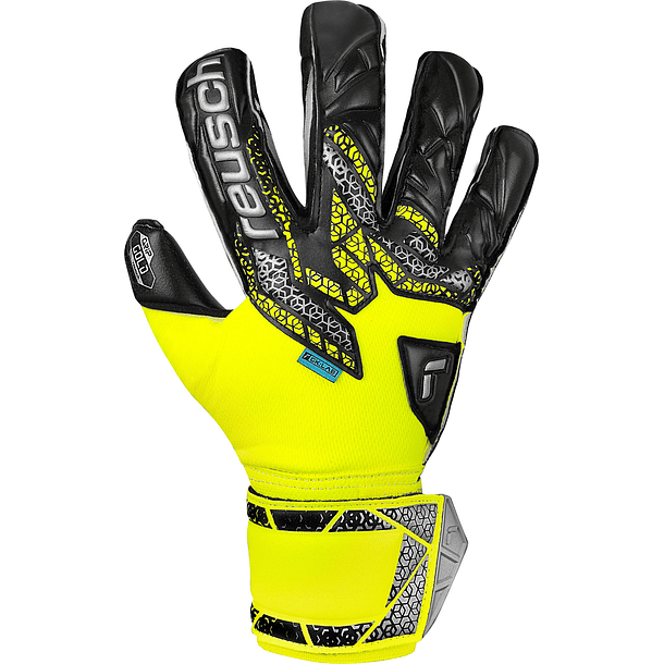 Reusch Guante Arquero Attrakt Gold Evolution Adulto 5
