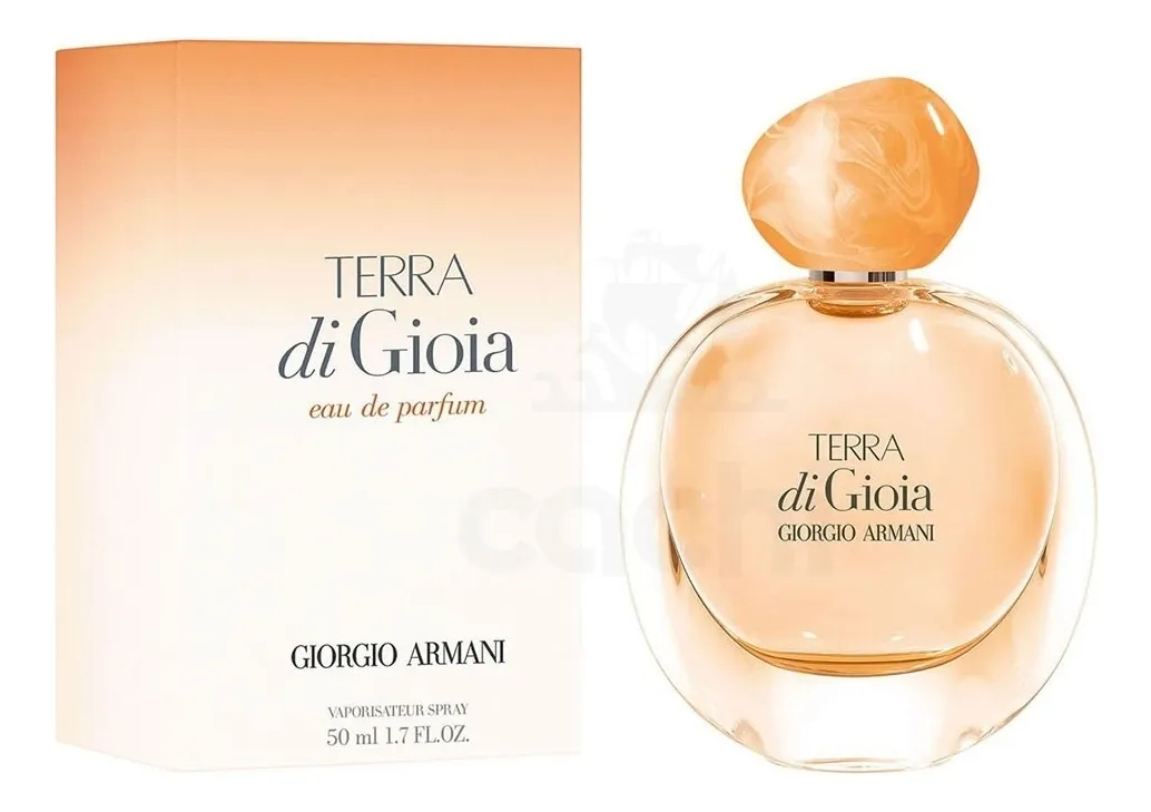 ARMANI TERRA DI GIOIA EDP 100ML MUJER 1