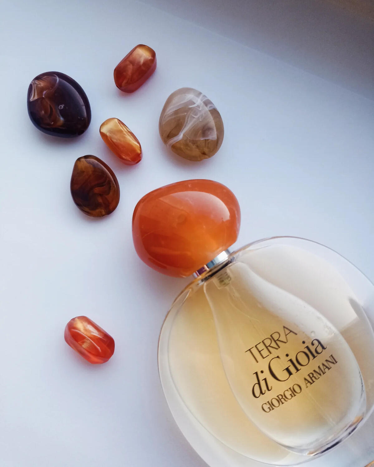 ARMANI TERRA DI GIOIA EDP 100ML MUJER 3