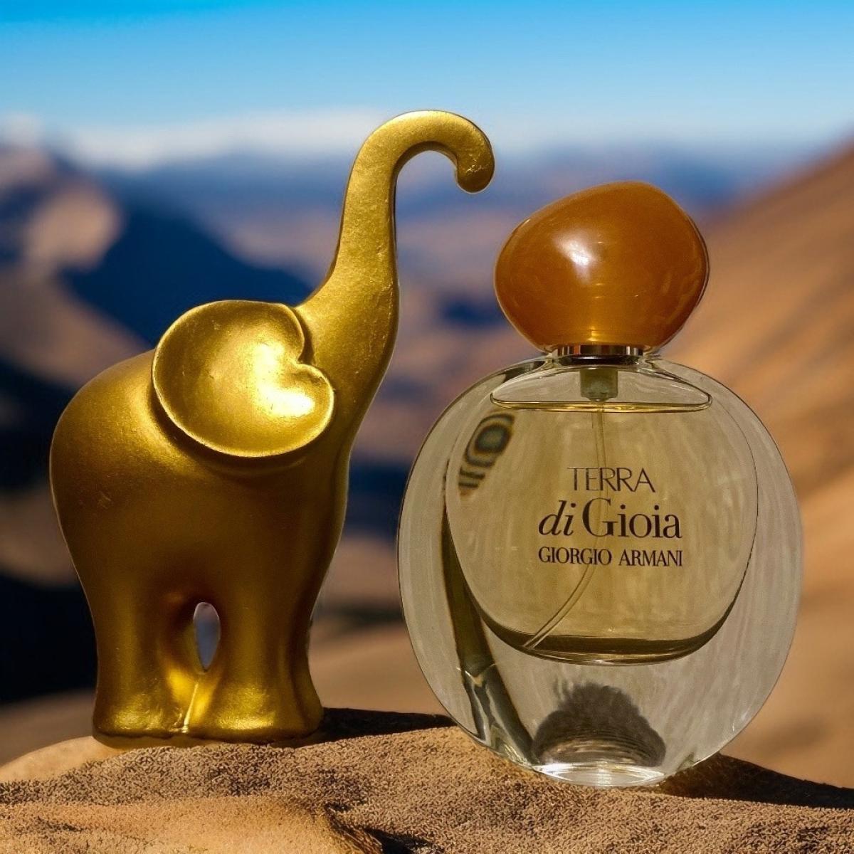 ARMANI TERRA DI GIOIA EDP 100ML MUJER 4