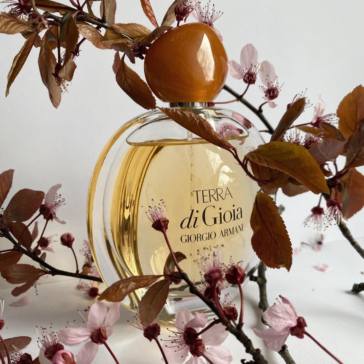 ARMANI TERRA DI GIOIA EDP 100ML MUJER 5