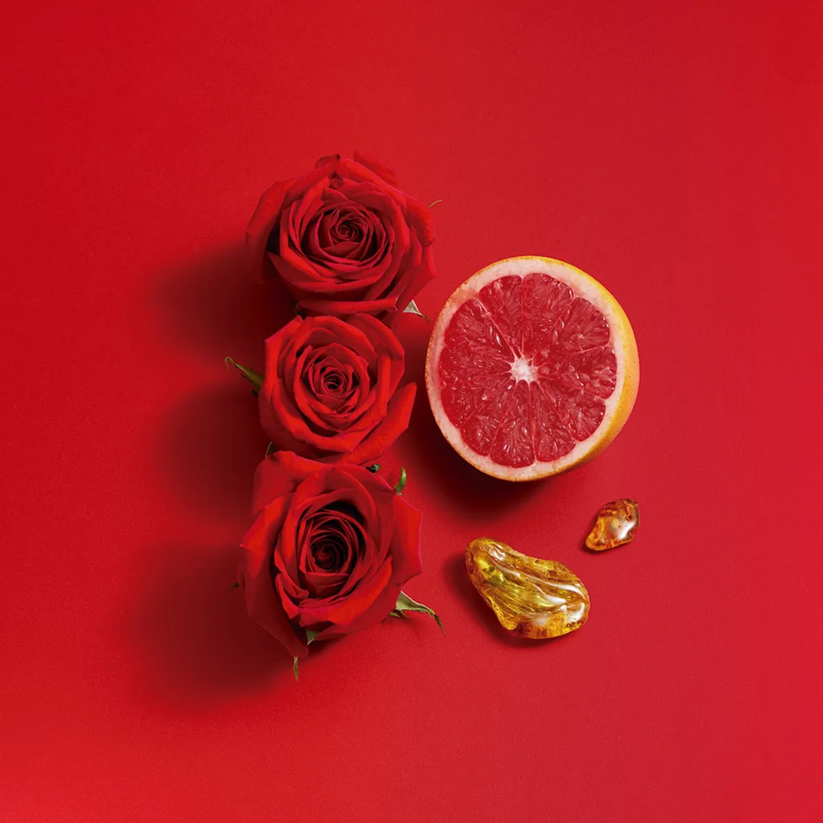 SISTERLAND RED ROSE EDT 80 ML 5