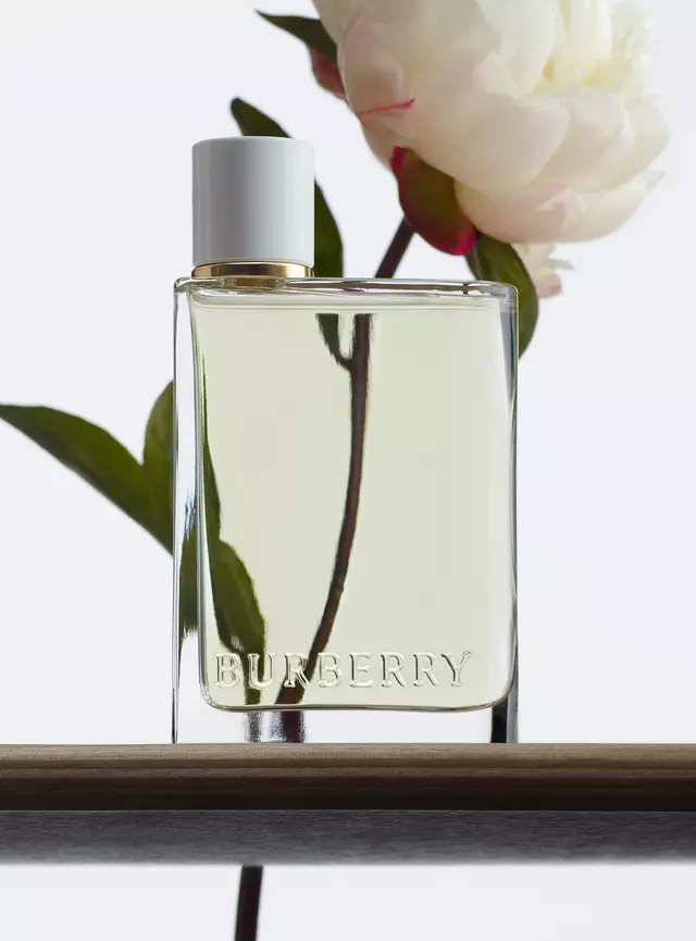 BURBERRY HER EDT 4
