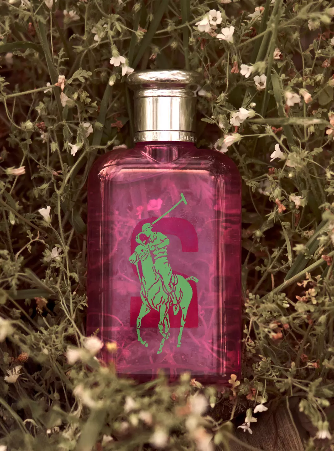 POLO BIG PONY N°2 EDT 100 ML RALPH LAUREN 3