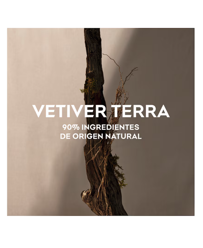 Adolfo Domínguez Vetiver Terra EDP 120 ml 4