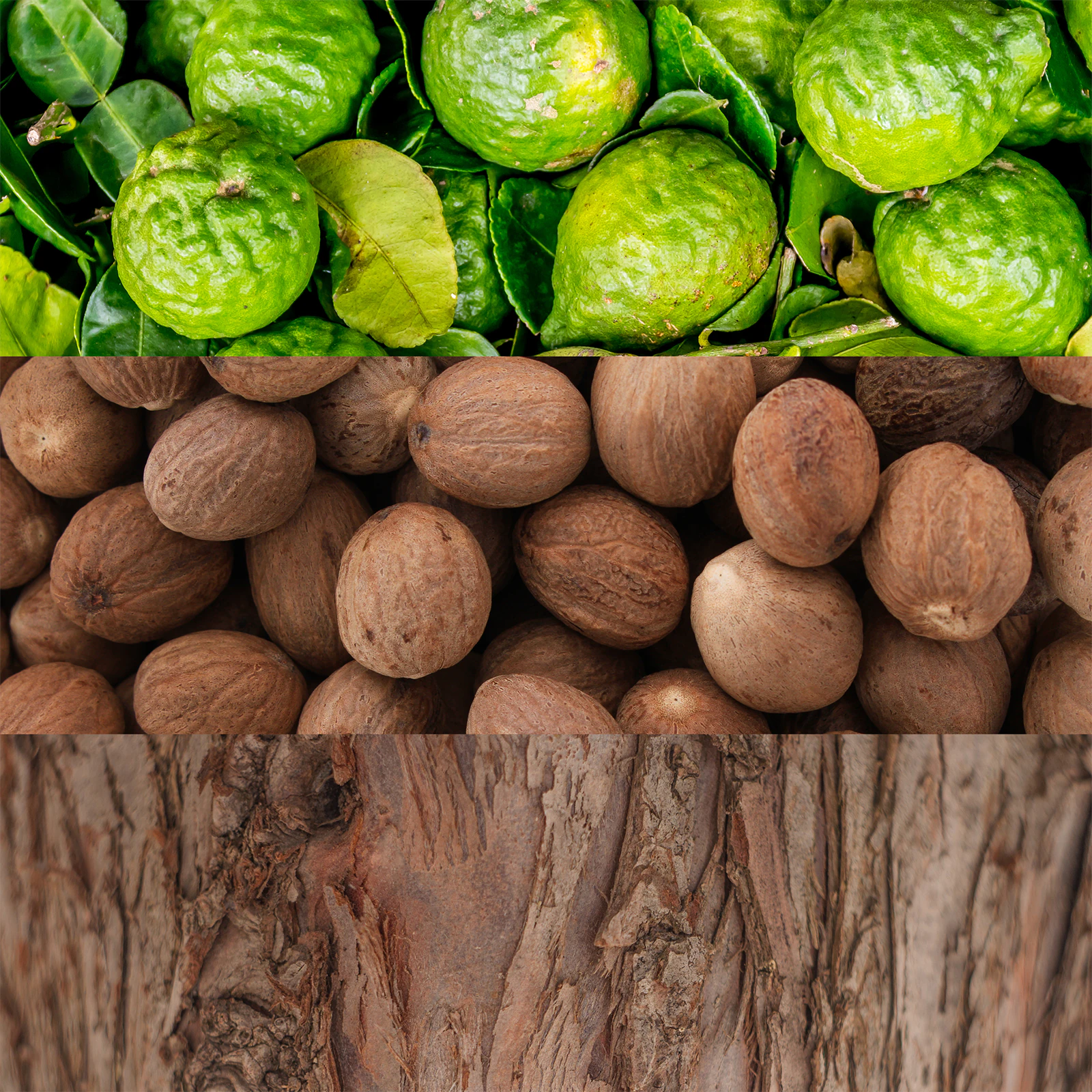 CALVIN KLEIN MAN EDT 100 ML 4