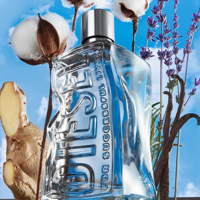 DIESEL D MEN EDT 100 ML 4