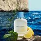 Light Blue Pour Homme EDT 100 ml - Miniatura 3