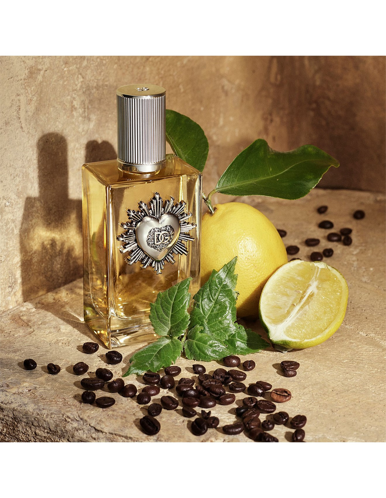 Devotion Male pour Homme EDP 50 ml Dolce and Gabbana 3