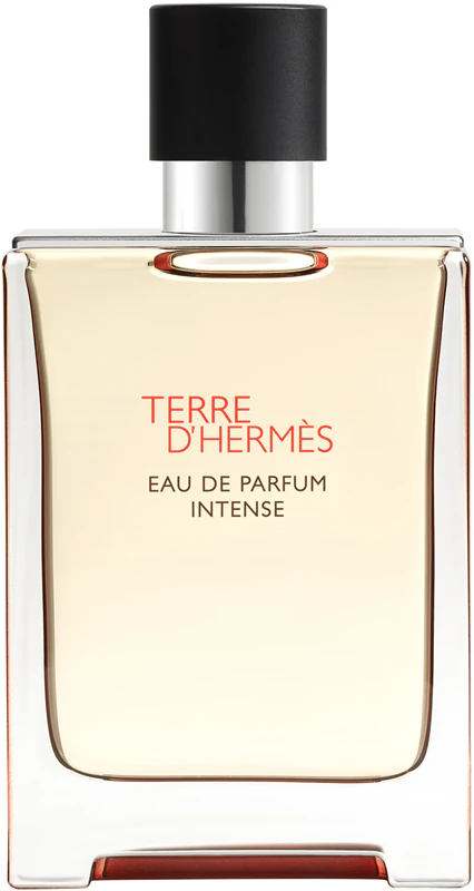 Terre DHermes EDP Intense 100 ml 2
