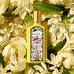 Gucci Flora Gorgeous Orchid Eau De Parfum Para Mujer 100 Ml - Miniatura 4
