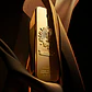 1 Million PARFUM 50ML - Miniatura 4