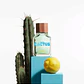 GREEN CACTUS FOR HIM UNITED DREAMS EDT 100 ml - Miniatura 4