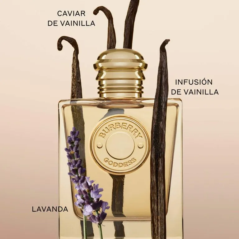 BURBERRY GODDESS EDP 100ML 4