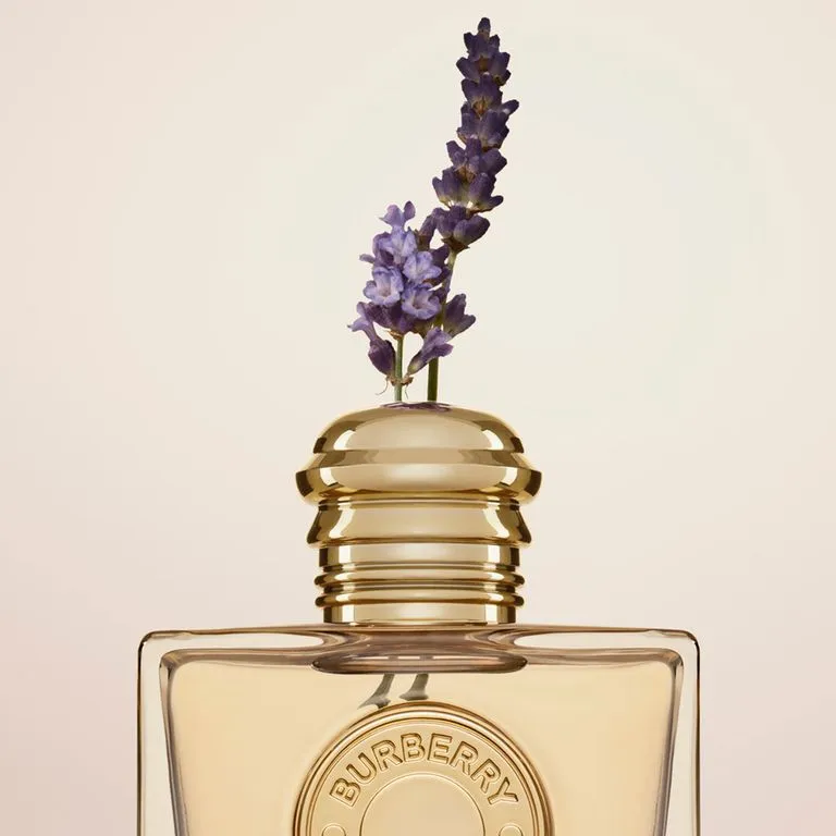 BURBERRY GODDESS EDP 100ML 3