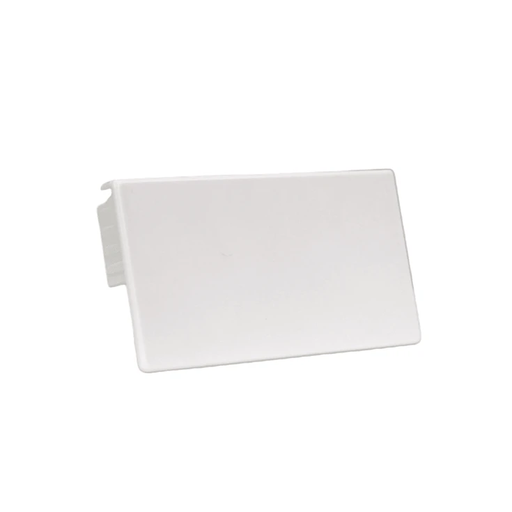 TAPA EXTREMO O FINAL 100X50MM CTE 1