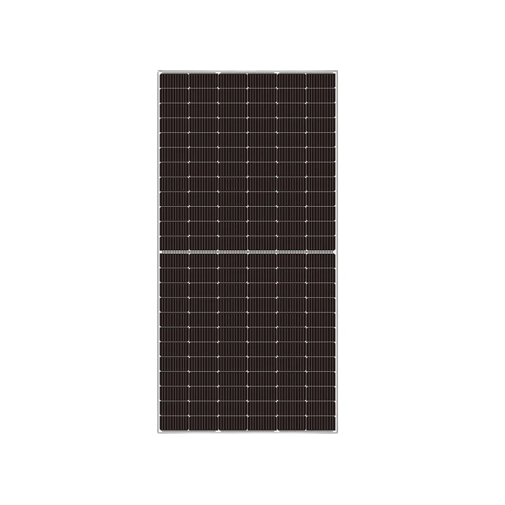 PANEL SOLAR MONOCRISTALINO 545W RISEN BIFACIAL 1