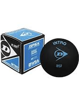 Bola Squash Dunlop Intro