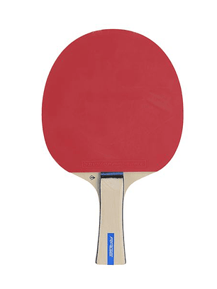 Raquete de Ténis Mesa Dunlop Rage