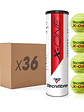 Bola de Ténis Tecnifibre X-ONE : CARTON DE 36 TUBES DE 4 BALLES DE TENNIS - Miniatura 1
